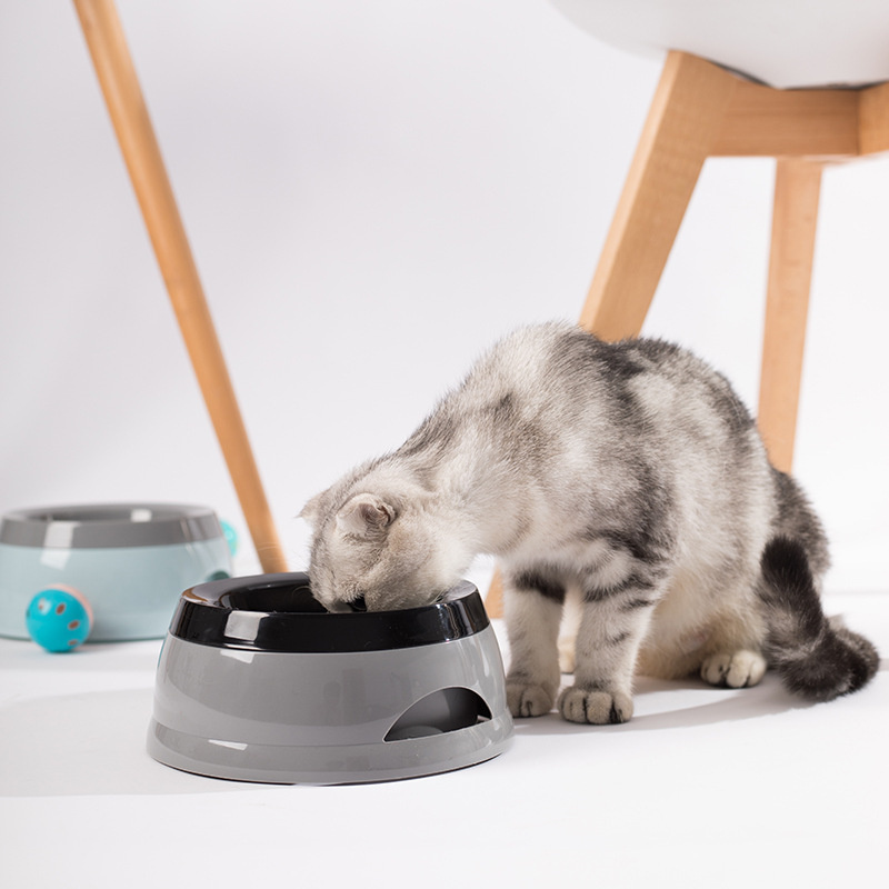 Pet Dog Bowls Floating Not Wet - огляд і ціна Travel Accessories For Dogs